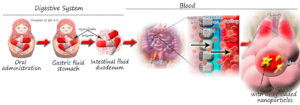 Investigación-nanoparticulas-encapsuladas-tuberculosis
