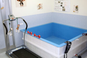 piscina-cerdos-Puerta-de-Hierro-terapia-celular