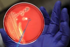 bacterias-multirresistentes