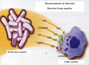biomarcador-sepsis