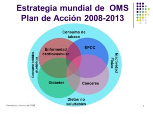 Estrategia-mundial-de-OMS-Plan-de-Acción