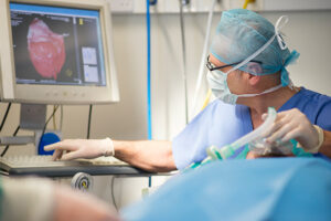 Sociedad-Espa&ntilde;ola-de-Cardiolog&iacute;a