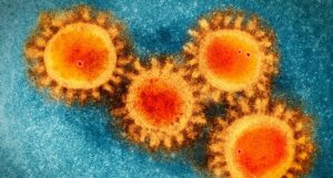 coronavirus-aplausos-bulos