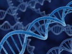 cartera-comun-pruebas- geneticas