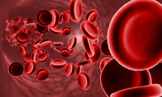 Un buen control del paciente anticoagulado previene el riesgo de sufrir complicaciones como ictus y hemorragias - iSanidad