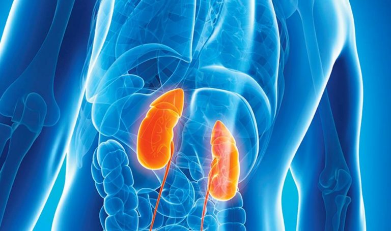 V&iacute;ctor-Lorente-enfermedad-renal