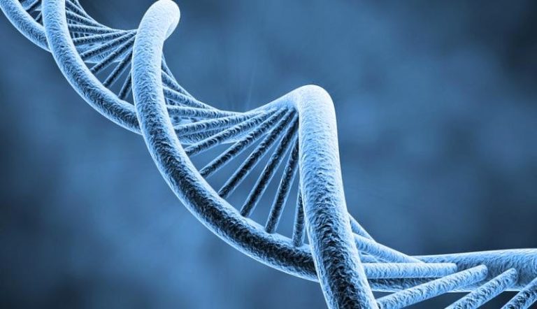 genes-enfermedades-hereditarias-cancer