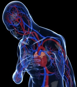 insuficiencia-cardiaca-atención-primaria