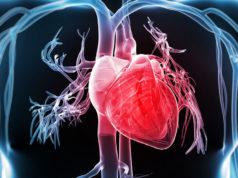 Philips-Cardiología