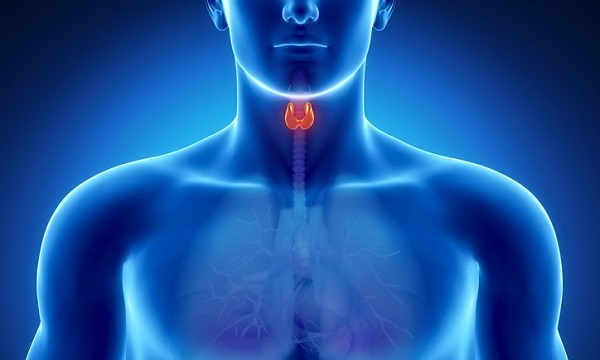 incidencia-cáncer-tiroides-SEEN