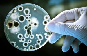 molécula-bacterias-resistentes-medicamentos