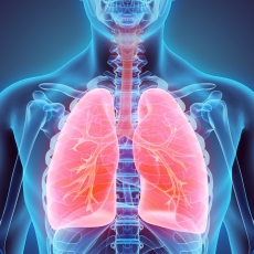 enfermedad-pulmonar-obstructiva-crónica