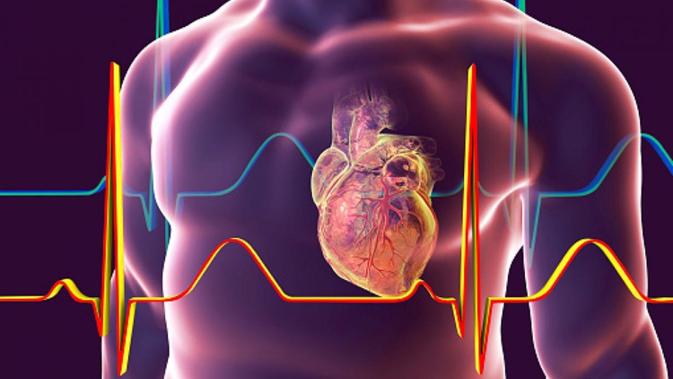 infarto-miocardio-resultados-urgencias