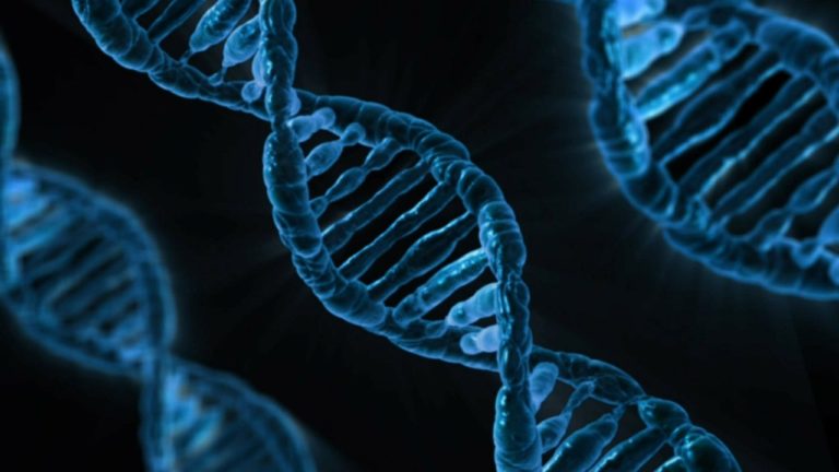 secuenciación-de-ADN
