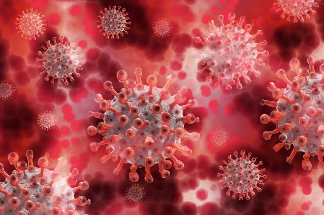 materiales-reducen-infectividad-virus
