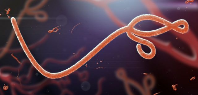 ensayo-vacuna-ébola
