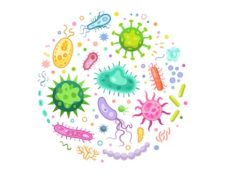 bacterias-ultrapequeñas-medioambiente