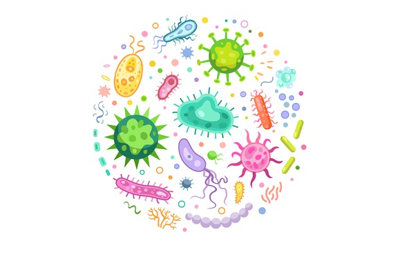 bacterias-ultrapequeñas-medioambiente