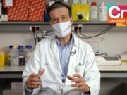 Dr. Álvarez-Vallina explica qué son las células Stab