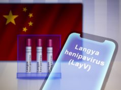 nuevo-virus-identificad-china-henipavirus-langya