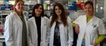 investigadoras-transforman-fibroblastos-piel-celulas-productoras-insulina