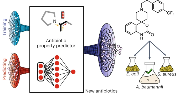 nuevo-antibiotico-inteligencia-artificial-bacteria-resistente