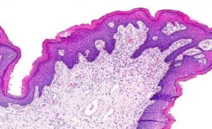 fujifilm-digital-pathology