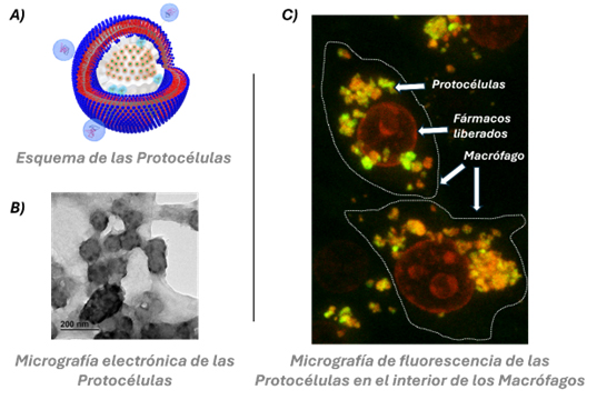 nanopartículas-inteligentes