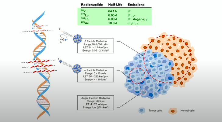 teragnosis radiometabólica alfa-beta-neuroendocrinos