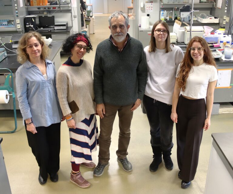 mecanismo-proliferaci&oacute;n-celular