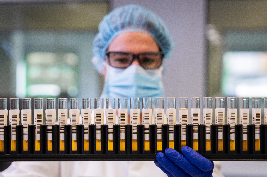 muestras-plasma-medicamentos-hemoderivados-industria-ok