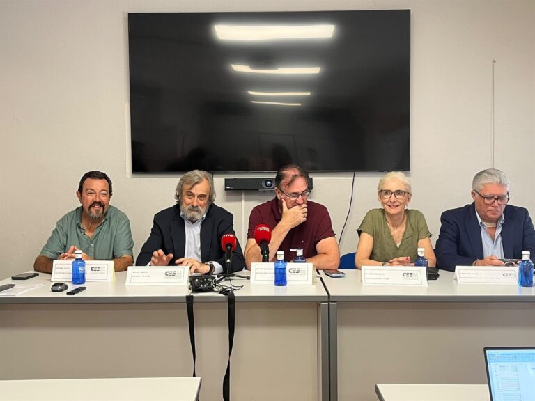CESM-paros-indefinidos
